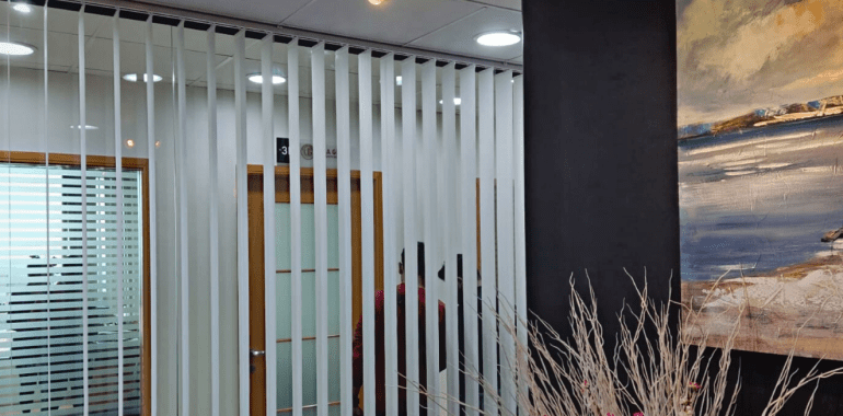 Vertical Blinds for your beautiful window
